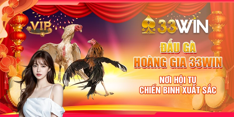 Đấu Gà Hoàng Gia 33Win - Nơi Hội Tụ Chiến Binh Xuất Sắc