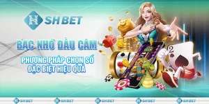 Bạc Nhớ Đầu Câm – Phương Pháp Chọn Số Đặc Biệt Hiệu Quả